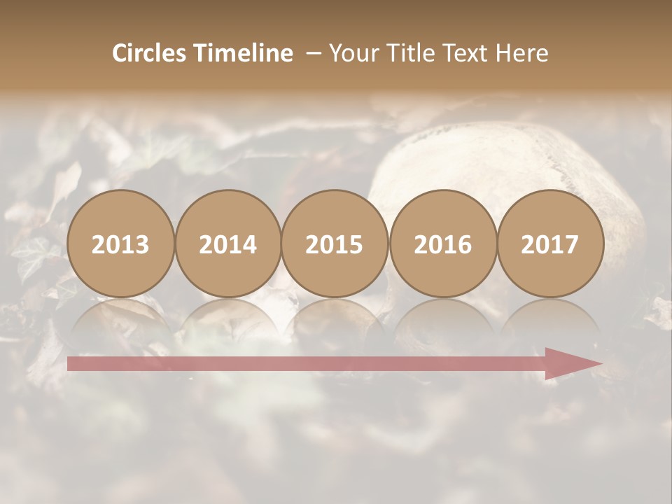 A Skull Laying In The Brush In A Forest. PowerPoint Template