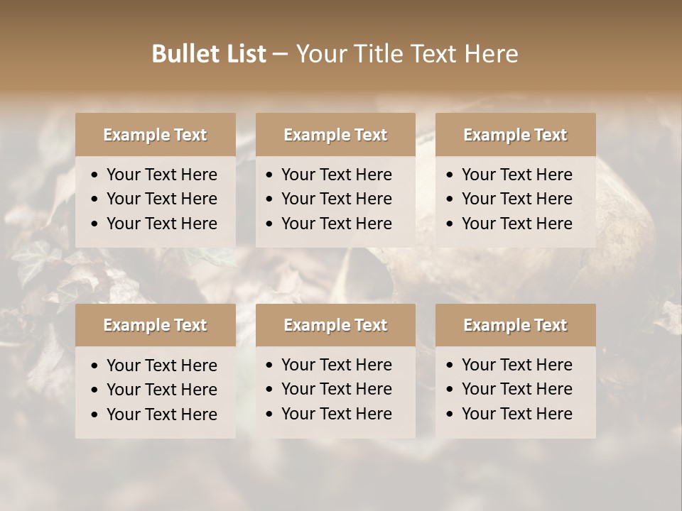 A Skull Laying In The Brush In A Forest. PowerPoint Template