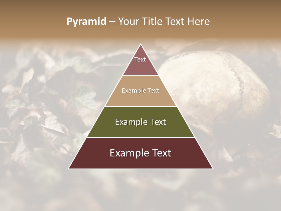 A Skull Laying In The Brush In A Forest. PowerPoint Template
