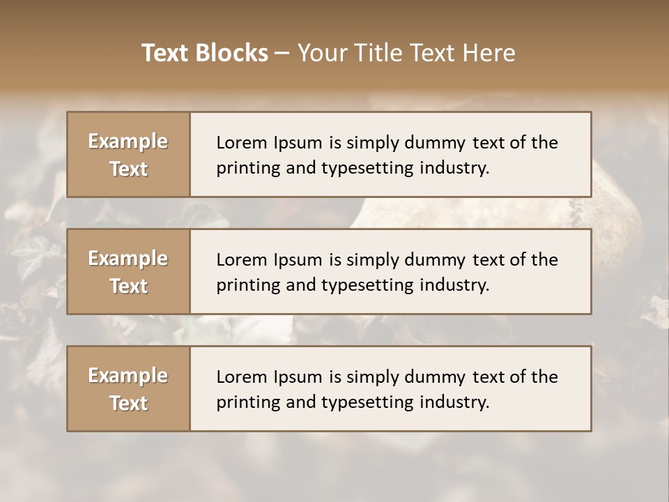 A Skull Laying In The Brush In A Forest. PowerPoint Template