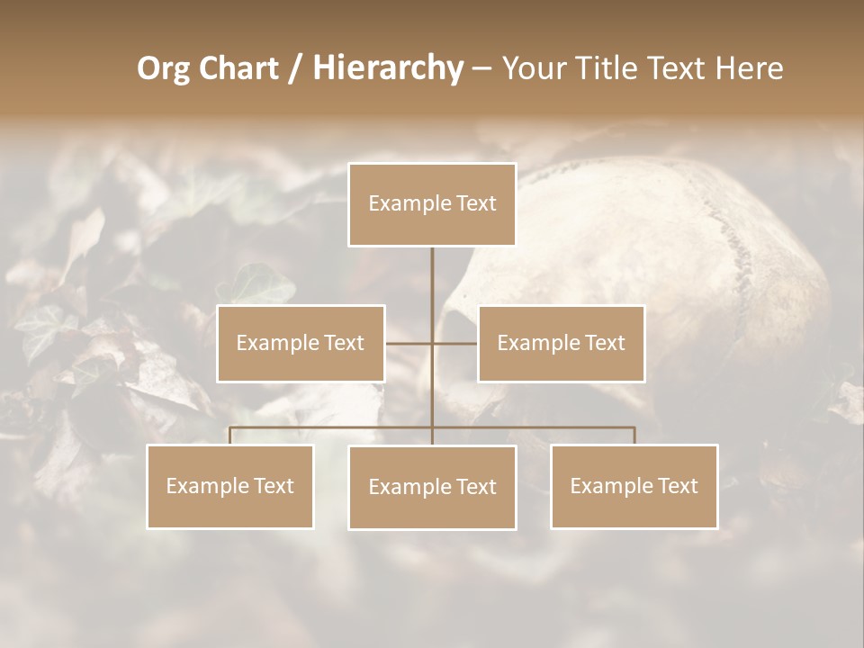 A Skull Laying In The Brush In A Forest. PowerPoint Template