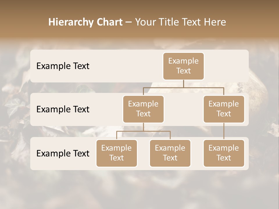 A Skull Laying In The Brush In A Forest. PowerPoint Template