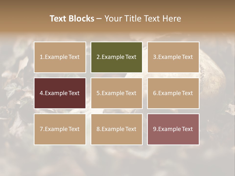 A Skull Laying In The Brush In A Forest. PowerPoint Template