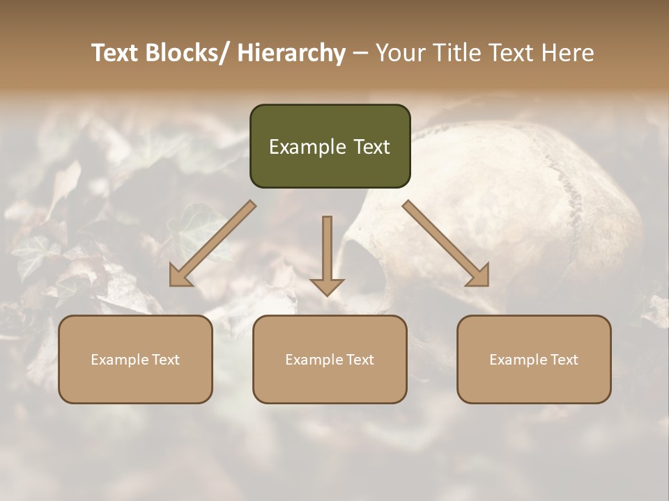 A Skull Laying In The Brush In A Forest. PowerPoint Template