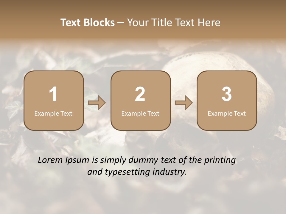 A Skull Laying In The Brush In A Forest. PowerPoint Template