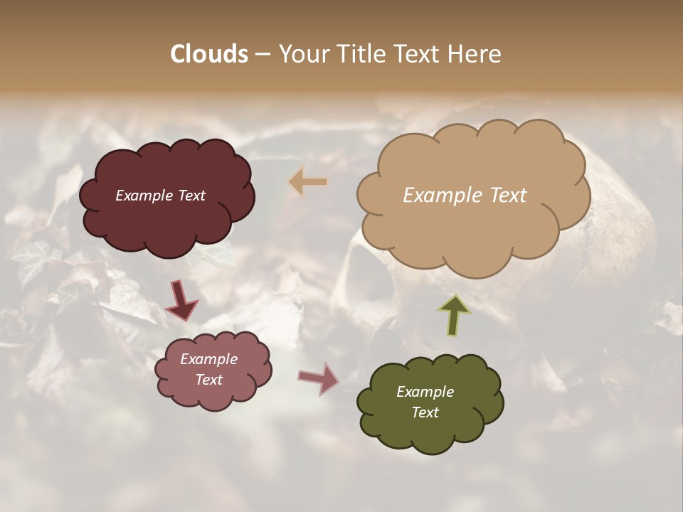A Skull Laying In The Brush In A Forest. PowerPoint Template