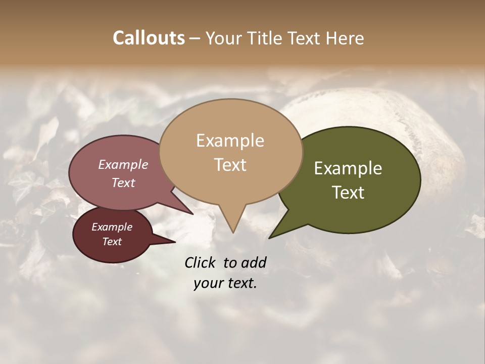 A Skull Laying In The Brush In A Forest. PowerPoint Template