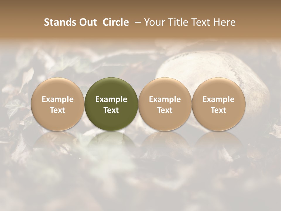 A Skull Laying In The Brush In A Forest. PowerPoint Template