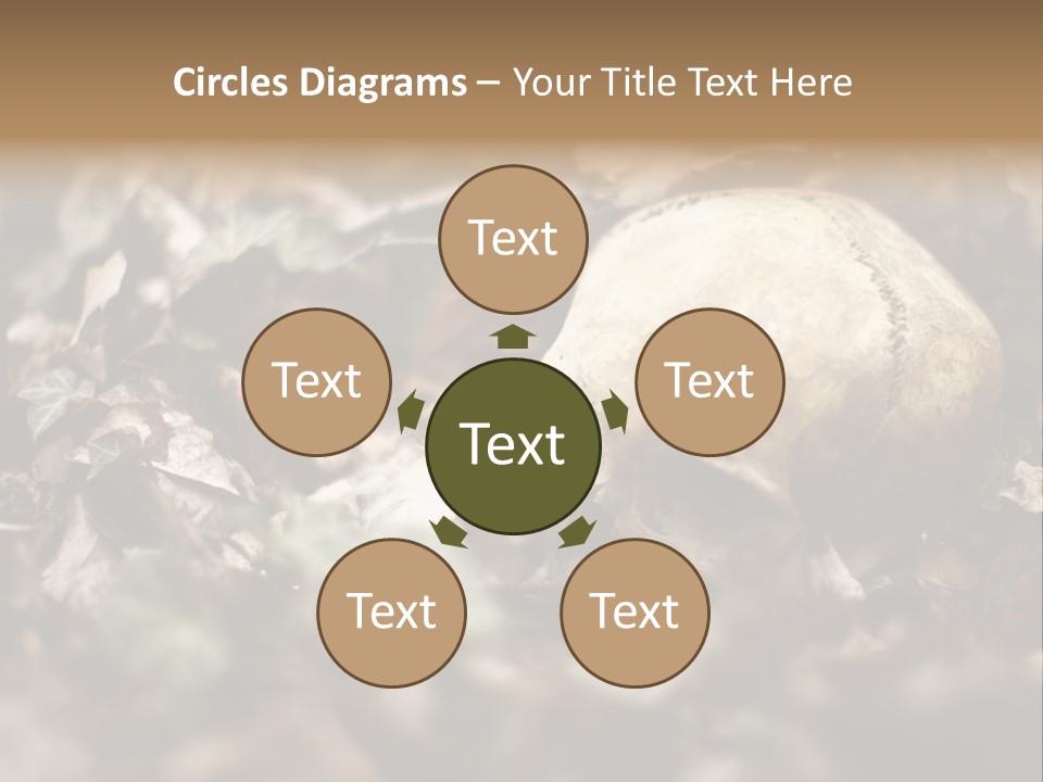 A Skull Laying In The Brush In A Forest. PowerPoint Template