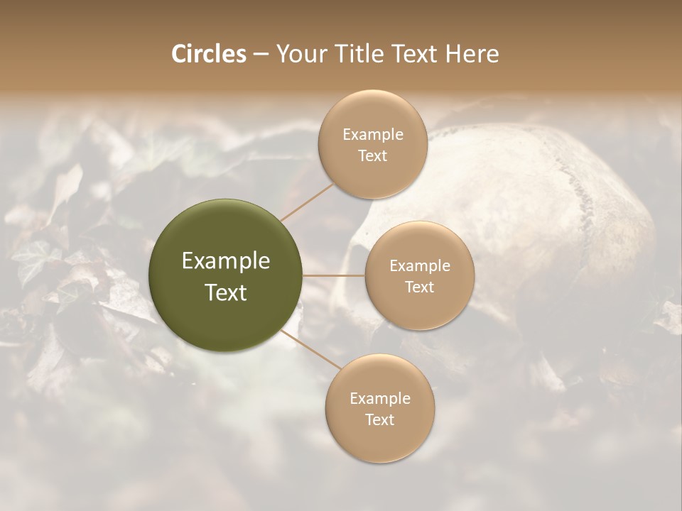 A Skull Laying In The Brush In A Forest. PowerPoint Template