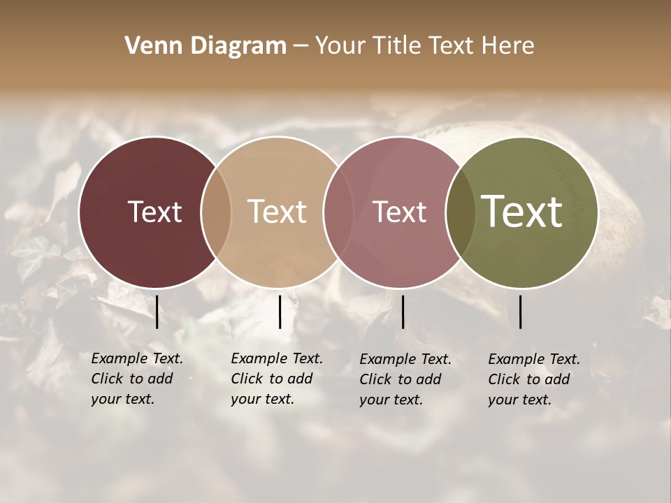 A Skull Laying In The Brush In A Forest. PowerPoint Template
