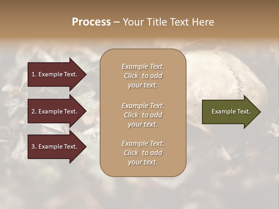 A Skull Laying In The Brush In A Forest. PowerPoint Template