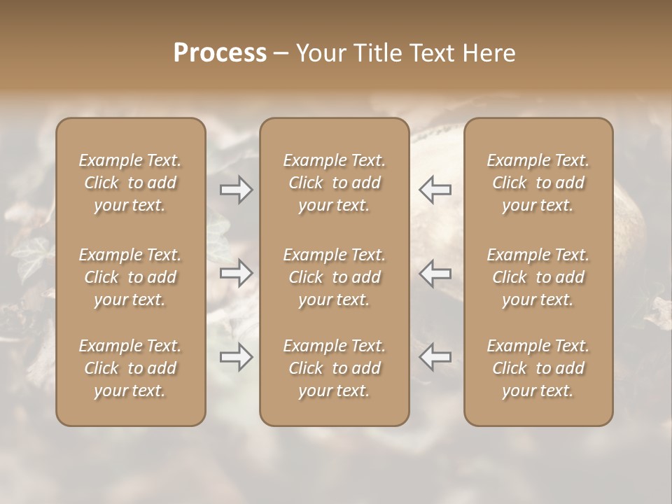 A Skull Laying In The Brush In A Forest. PowerPoint Template