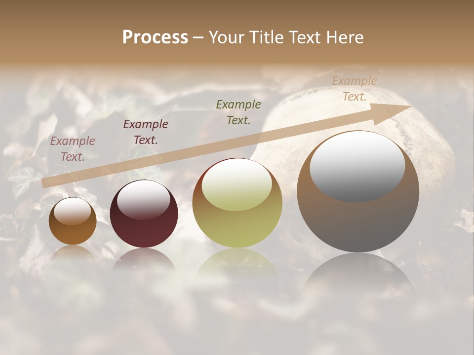 A Skull Laying In The Brush In A Forest. PowerPoint Template