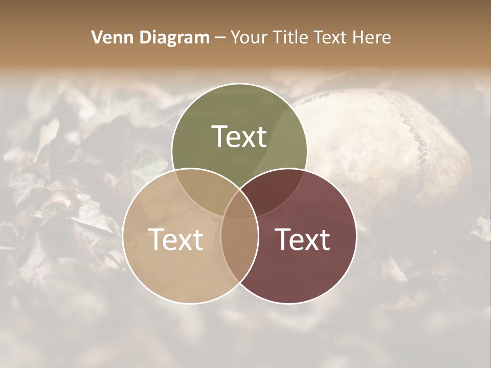 A Skull Laying In The Brush In A Forest. PowerPoint Template