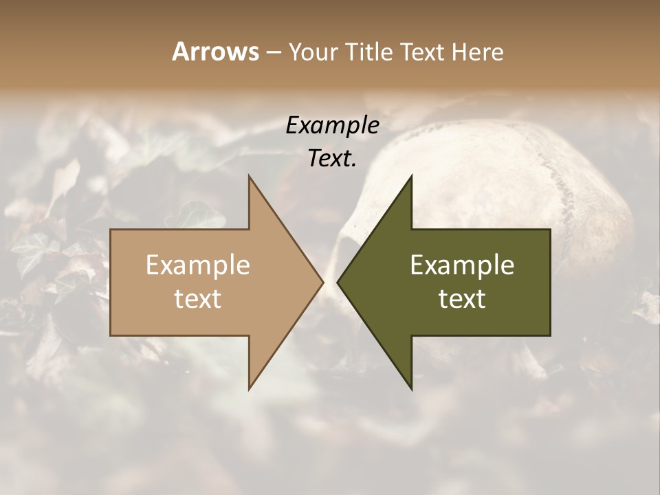 A Skull Laying In The Brush In A Forest. PowerPoint Template