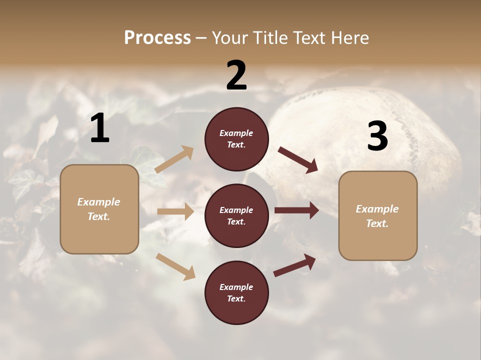 A Skull Laying In The Brush In A Forest. PowerPoint Template