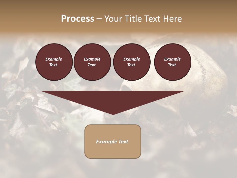 A Skull Laying In The Brush In A Forest. PowerPoint Template
