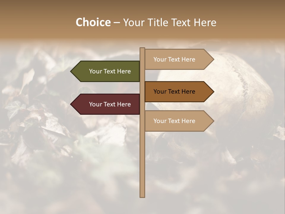 A Skull Laying In The Brush In A Forest. PowerPoint Template