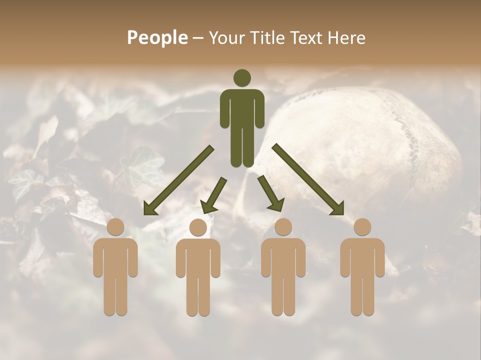 A Skull Laying In The Brush In A Forest. PowerPoint Template