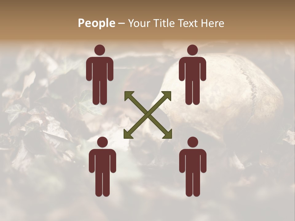 A Skull Laying In The Brush In A Forest. PowerPoint Template