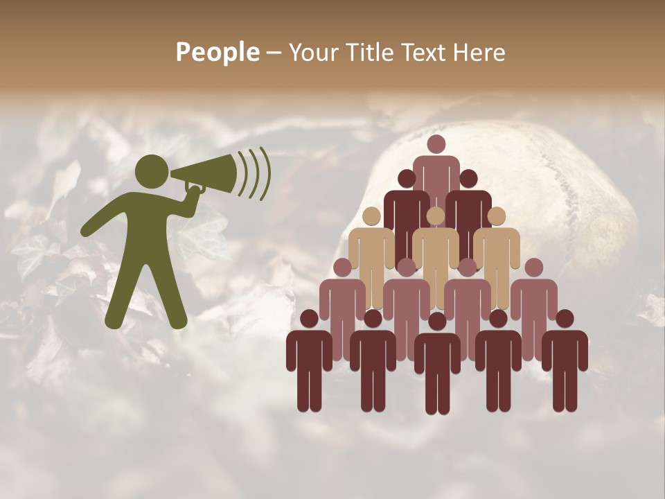 A Skull Laying In The Brush In A Forest. PowerPoint Template