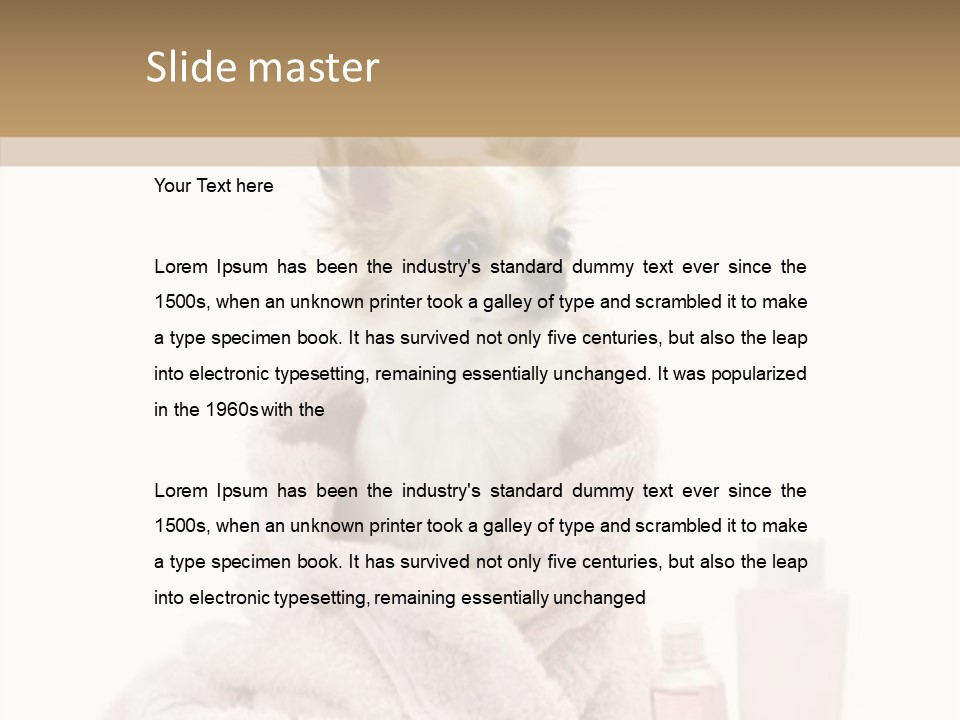 Sweet Chihuahua With Spa Accessories And Pink Towel Isolated On White Background PowerPoint Template