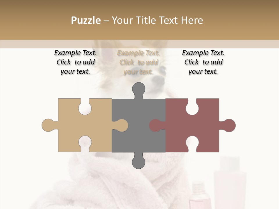 Sweet Chihuahua With Spa Accessories And Pink Towel Isolated On White Background PowerPoint Template