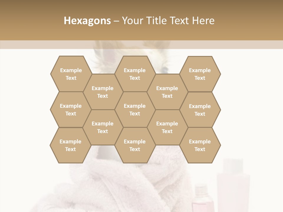 Sweet Chihuahua With Spa Accessories And Pink Towel Isolated On White Background PowerPoint Template