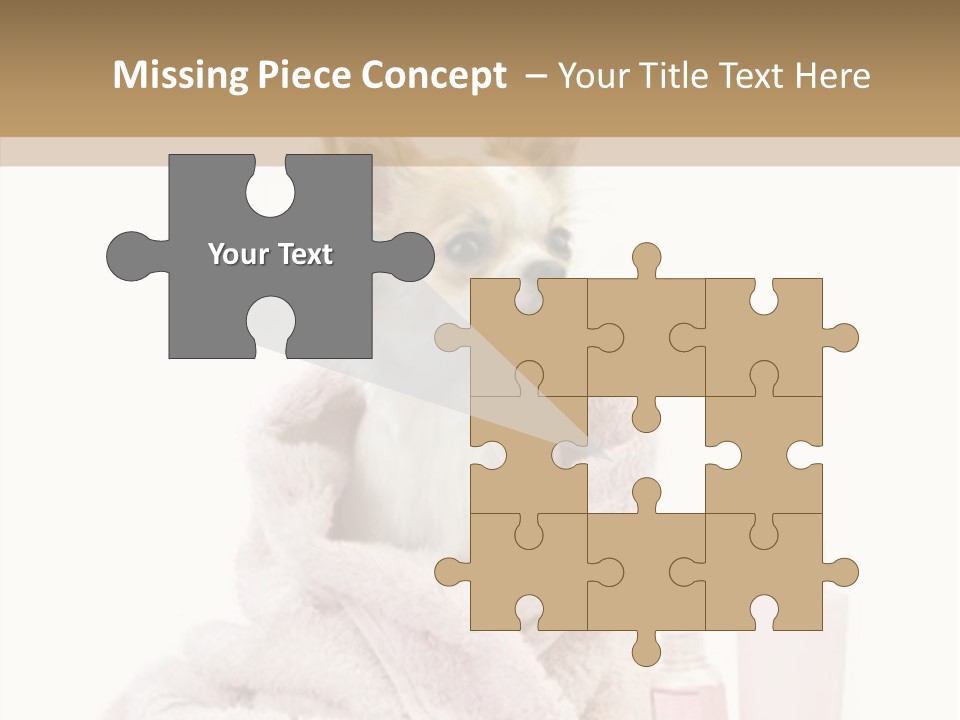 Sweet Chihuahua With Spa Accessories And Pink Towel Isolated On White Background PowerPoint Template