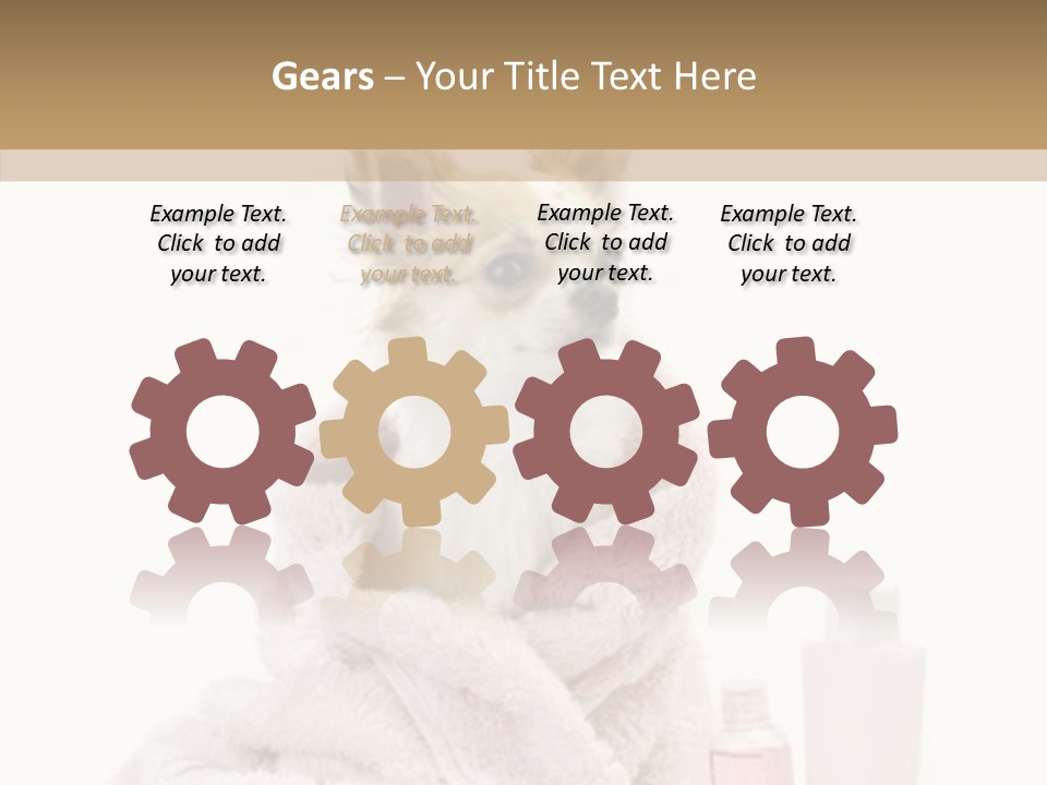 Sweet Chihuahua With Spa Accessories And Pink Towel Isolated On White Background PowerPoint Template