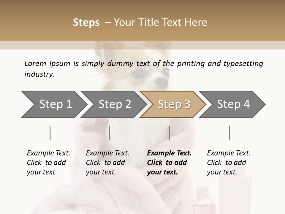 Sweet Chihuahua With Spa Accessories And Pink Towel Isolated On White Background PowerPoint Template