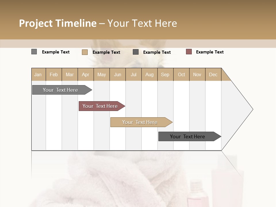 Sweet Chihuahua With Spa Accessories And Pink Towel Isolated On White Background PowerPoint Template