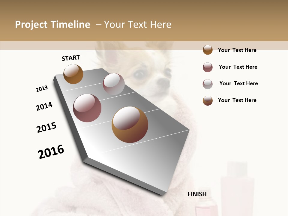 Sweet Chihuahua With Spa Accessories And Pink Towel Isolated On White Background PowerPoint Template