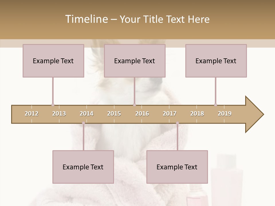 Sweet Chihuahua With Spa Accessories And Pink Towel Isolated On White Background PowerPoint Template