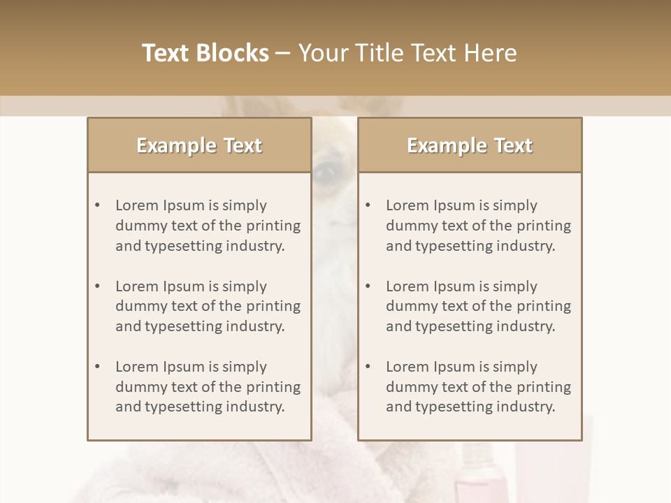 Sweet Chihuahua With Spa Accessories And Pink Towel Isolated On White Background PowerPoint Template