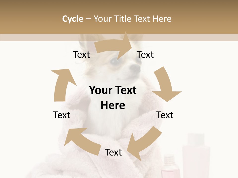 Sweet Chihuahua With Spa Accessories And Pink Towel Isolated On White Background PowerPoint Template