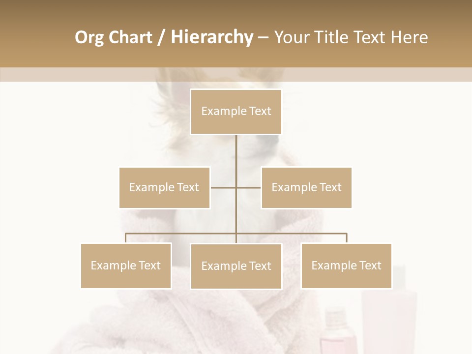 Sweet Chihuahua With Spa Accessories And Pink Towel Isolated On White Background PowerPoint Template