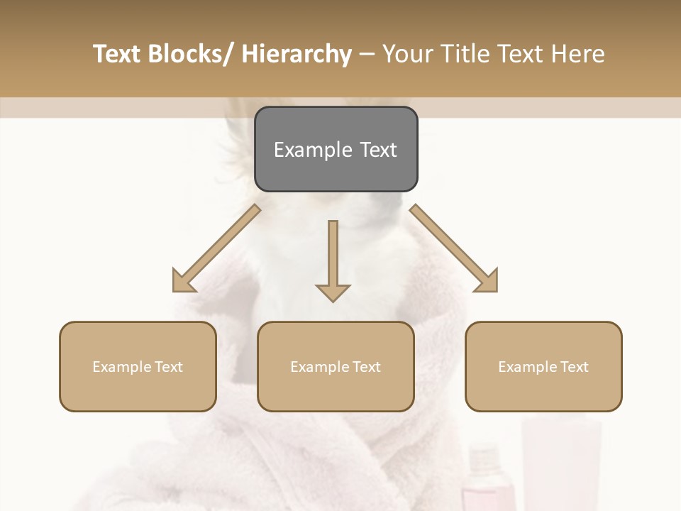 Sweet Chihuahua With Spa Accessories And Pink Towel Isolated On White Background PowerPoint Template