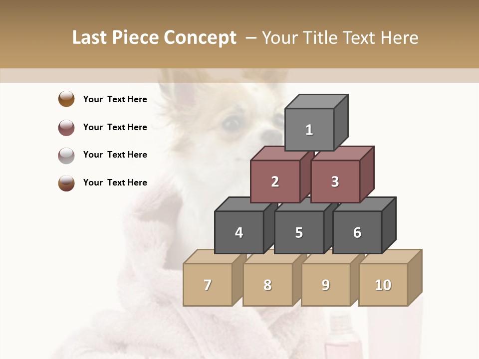 Sweet Chihuahua With Spa Accessories And Pink Towel Isolated On White Background PowerPoint Template