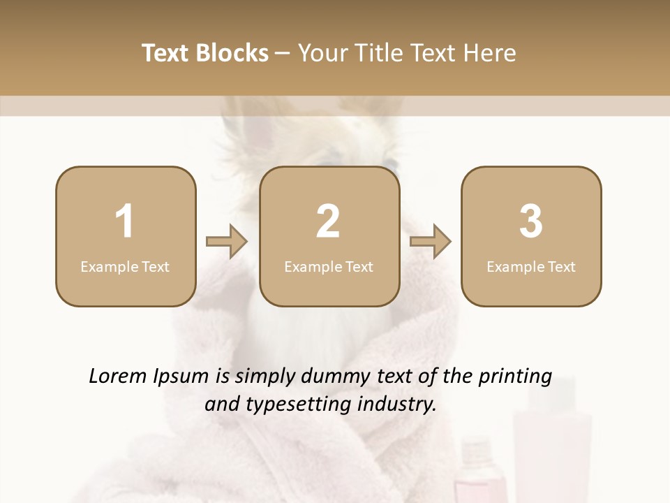 Sweet Chihuahua With Spa Accessories And Pink Towel Isolated On White Background PowerPoint Template