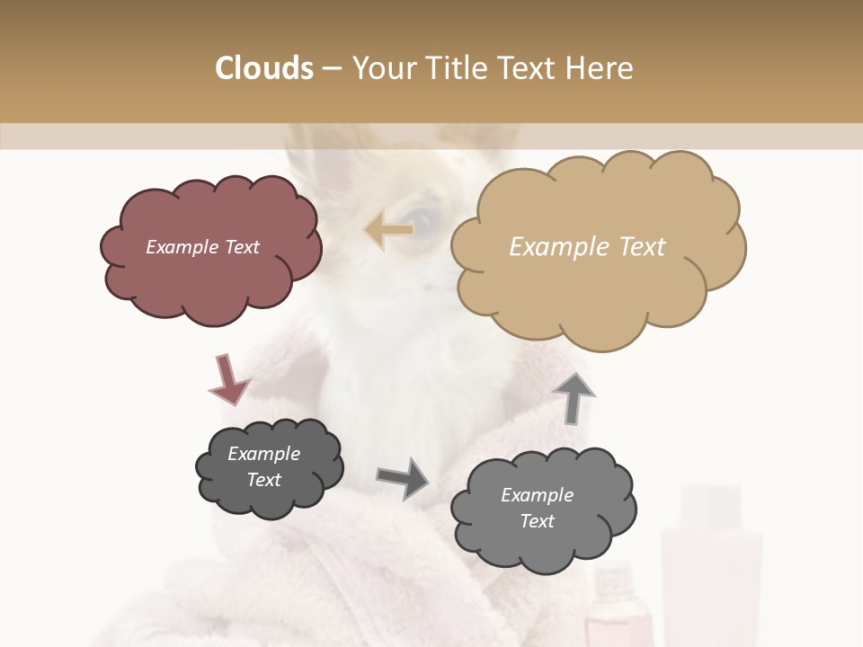 Sweet Chihuahua With Spa Accessories And Pink Towel Isolated On White Background PowerPoint Template