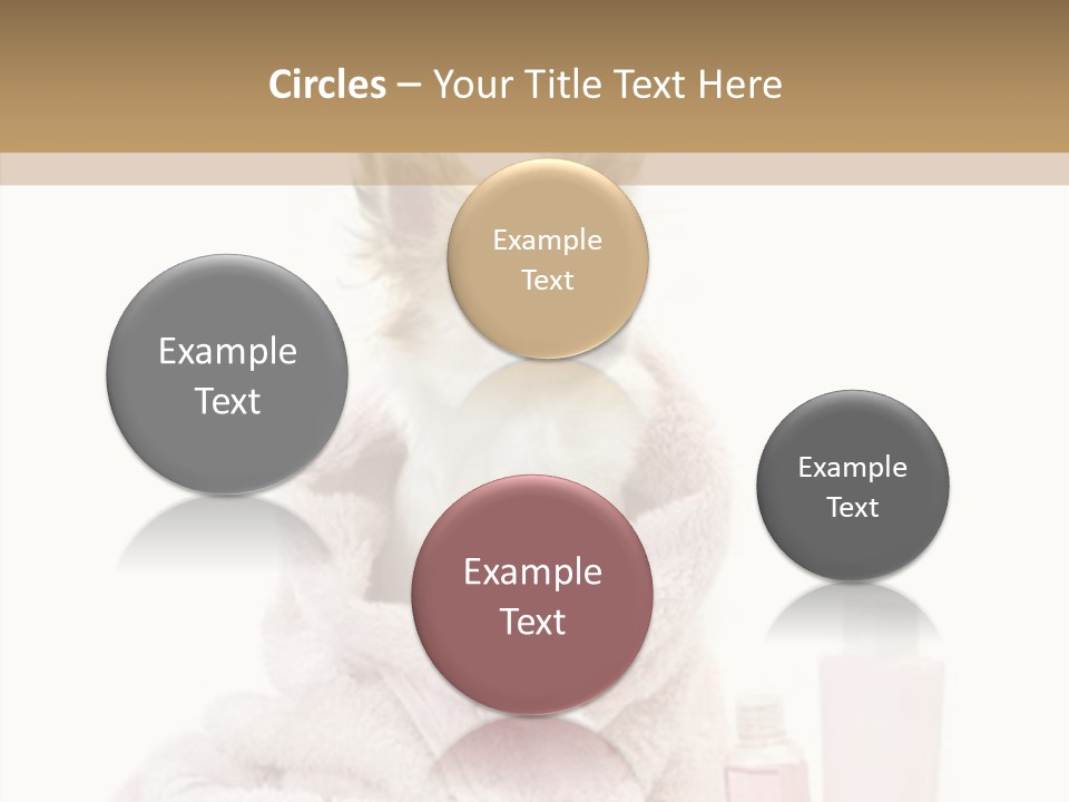 Sweet Chihuahua With Spa Accessories And Pink Towel Isolated On White Background PowerPoint Template