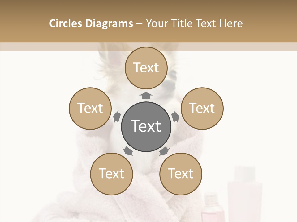 Sweet Chihuahua With Spa Accessories And Pink Towel Isolated On White Background PowerPoint Template