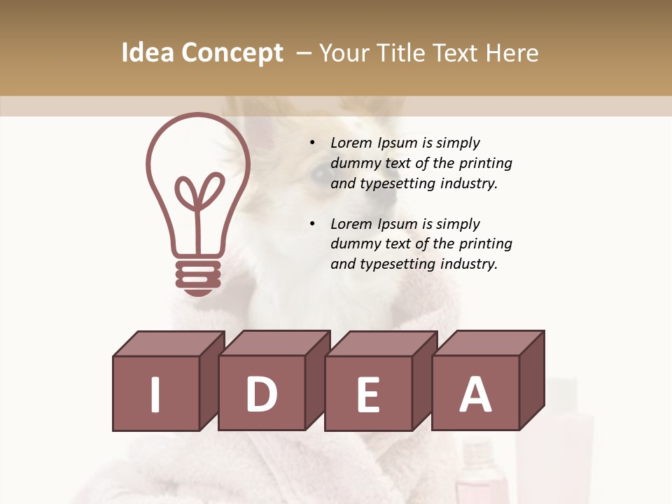 Sweet Chihuahua With Spa Accessories And Pink Towel Isolated On White Background PowerPoint Template