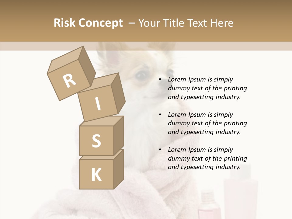 Sweet Chihuahua With Spa Accessories And Pink Towel Isolated On White Background PowerPoint Template