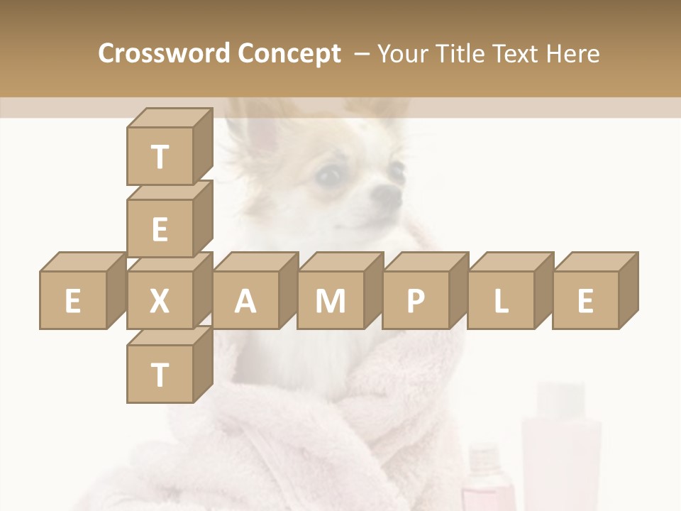 Sweet Chihuahua With Spa Accessories And Pink Towel Isolated On White Background PowerPoint Template