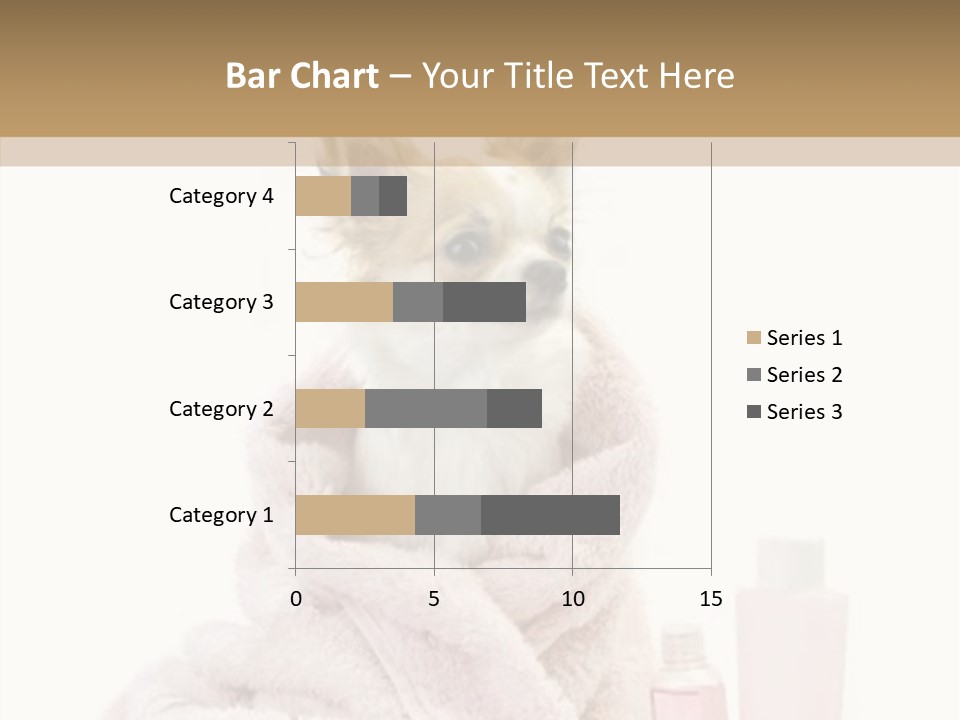 Sweet Chihuahua With Spa Accessories And Pink Towel Isolated On White Background PowerPoint Template