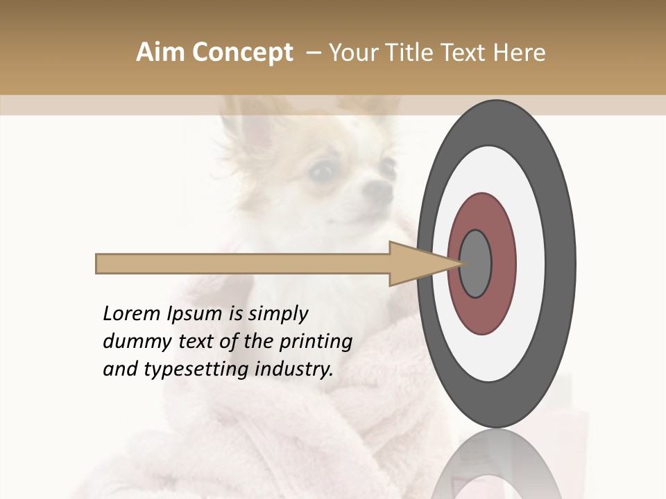 Sweet Chihuahua With Spa Accessories And Pink Towel Isolated On White Background PowerPoint Template