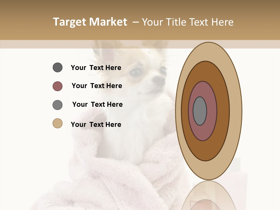 Sweet Chihuahua With Spa Accessories And Pink Towel Isolated On White Background PowerPoint Template